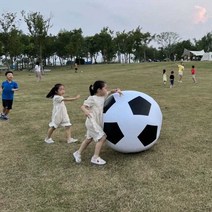 초대형 축구공 에어 볼 공기 전동펌프 포함 축제 장식, 두꺼움 200cm 공+전기공기펌프