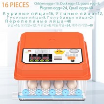 병아리부화기 계란 닭 자동 부화기 새 메추라기 병아리 가금류 터너 농장 부화, 16 PCS EGG incubator+AU Plug