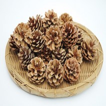 싱싱행복한나라 솔방울가습기, 30개입