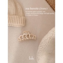 로스도스 수입 집게핀 [made in FRANCE] roa barrette
