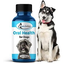 개를 위한 bestlife4pets 구강 건강 치과 치료 보조제 - 플라크 치석 제거제 구내염 amp 치은염 조절 - 항염증 치아 및 잇몸 통증 완화 - 사용하기 쉬운 천연 알약, 1팩