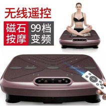 운동기구 덜덜이 음파 진동기 쉐이크 보드 털털이 전신진동, 갈색 쉐이크보드 -리모콘포함