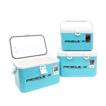 미라클X 캠핑 낚시 피크닉 미니 소형 쿨러 생새우 보냉 기포기 아이스박스, 10L