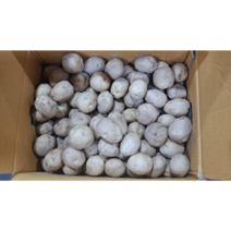 국내산 햇감자 5kg 10kg 20kg, 감자 대 20kg, 1개