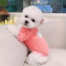 귀여운 곰 개 옷 만화 플러스 양털 애완 동물 강아지 후드 풀오버 작은 중형 스웨터 따뜻한 요크셔테리어, [06] XXL, [03] Pink