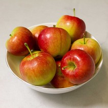 영천 루비에스 사과 못난이 꼬마 한입 미니사과 1kg 알프스오토메 제철과일, 미니사과 천홍 1kg 17과 내외