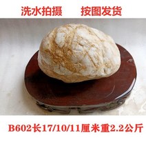 화분자갈 컬러스톤 건재상 강 알 원석 개울 큰 채소 조각 거위 알 등을 말리는 거북이 안뜰 조경 정원 포장 원예용 조경용돌 자갈돌, 푸른