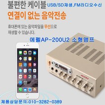 에펠 AP-200U2 매장 설치용 앰프|FM USB SD AUX 지원, 단일품목