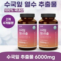 워너웰 수국잎 열수 추출물 프리미엄정 1000mg 60정, 4개월분(120정) 2개