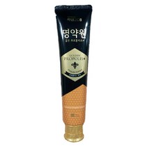 죽염 명약원 골든 프로폴리스 치약 플러스 120g 1개