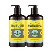 미쟝센 손상모발과 두피를 단단하게 콤부차 레몬진저 샴푸 820ml x2개, 미쟝센 콤부차 레몬진저 샴푸 820ml 2개
