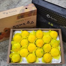 제주 명품 황금향 선물세트 하우스 감귤 백화점 과일선물 제주 현지 직송 과일, 하우스감귤 꼬마3kg 내외