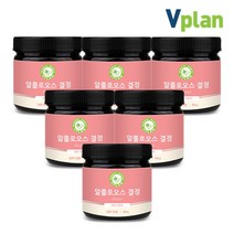 브이플랜 알룰로스 분말 1.8kg 알룰로오스 설탕, 단일옵션,상세 설명 참조, 6통, 300g