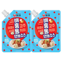 농심 배홍동 만능소스, 300g, 2개
