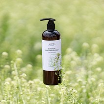 리얼 스피아민트 약산성 향좋은 민트 등드름 바디워시 500ml 퍼퓸, 490g