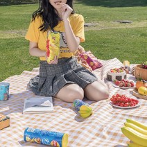 뉴펀 디자인의 [기회공작소] 체크무늬 돗자리/캠핑돗자리/옥스퍼드돗자리/피크닉매트 대형 세련된, 돗자리 민트 대형