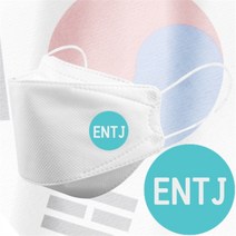 라로 인쇄마스크 25매 MBTI성격유형모델 3D입체형 디자인100 (8381834)