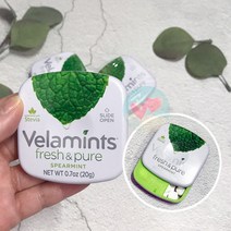 벨라민츠 후레쉬 스피어민트 캔디 20g x1개 민트향 무설탕 코스트코 민트향 무설탕 입냄새 졸음캔디, 20gx1개