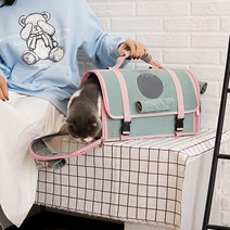 YOUPAN 반려동물 이동가방 이동 백팩, 그린