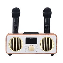 블루투스 스피커 듀엣 노래방 마이크 차박 가정용, SW-NBF9000