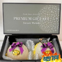멜론 추석 명절 부모님 시골 선물 과일 셋트 품질좋은 메론 내외, 프리미엄 멜론 2구 선물세트 4kg 내외, 프리미엄 멜론 2구 선물세트 4kg 내외