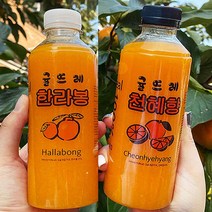 [행사 행사] 제주 귤뜨레 감귤 천혜향 한라봉 100% 340mlx12병 착즙 주스 과즙 과일 원액 쥬스, 12개, 304ml