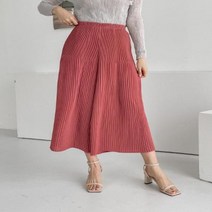 Pleats A Twin Wide Pants - 8부 벽돌/FREE