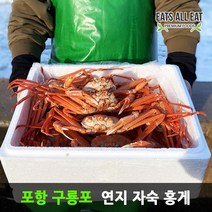 이츠올릿 포항 구룡포 연지 자숙 홍게 4kg 대구 울진 박달 대게 울산 영덕 홍개, 라면육수용_3kg 12미 (수율 60%내외)