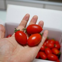 브랜드없음 [넉넉] 레드푸드의 선두주자 대추방울토마토 2kg, 단품없음