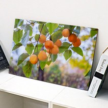 아트박스/꾸밈 ce276-아크릴액자_돈부르는감나무(대형), 이미지2