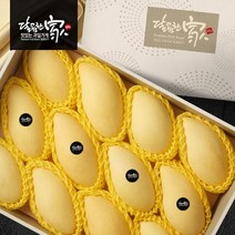 더 프리미엄 골드망고 선물세트(5kg이상/10~12과) 설선물세트 과일선물