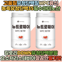 포대유청 WPC 단백질보충제 고순도단백분말 유청단백 단백질쉐이크 프로틴 류신 보충제 식사대용식 다이어트쉐이크 깔끔한딸기맛 600g 2개