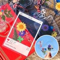 오렌지e몰 누름꽃 압화 투명 책갈피 만들기 - A세트, 단품