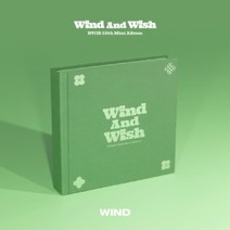 미개봉CD) 비투비 (BTOB) - WIND AND WISH (12TH 미니앨범) (WIND Ver.)