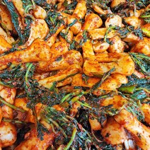 올바른새움푸드 농가수제 매콤 아삭 알타리김치 총각김치, 총각김치 3kg