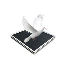 공연 비둘기 마술도구 변신 매직보드 불타는 스테이지, 비둘기 매직보드 + 꽃볼