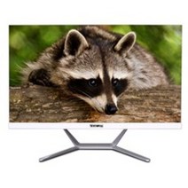 뷰라이프 터치 일체형PC T3-542 (Intel Pentium Gold G5420 61cm), WIN 미포함, RAM 4GB, SSD 120GB