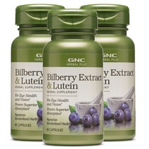 GNC 미국 지앤씨 3병 Bilberry Extract Lutein 60 Capsules 빌베리 루테인 60정