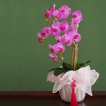 뷰티풀데코센스 조화 호접난 화분, 퍼플