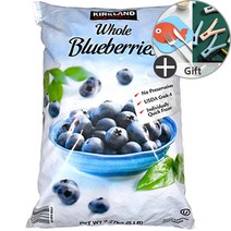 코스트코 커클랜드 냉동 블루베리 2.27kg + 아이스박스 + 드라이아이스 + 사은품 랜덤 증정, 1개