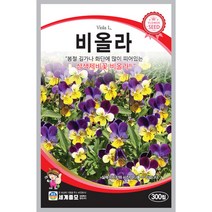 비올라 팬지 씨앗 300립 꽃씨 화단에 많이 피어있는 삼색제비꽃 식물세계