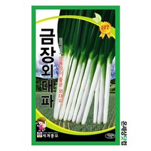 금장외대파 2000립 / 파씨앗 대파씨앗 대파씨