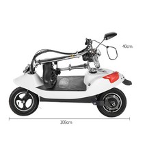 접이식 전기 자전거 애견동반 펫 짐 전동미니 바이크, 상세이페이지 참고