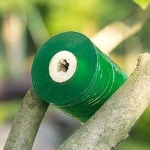 멀칭비닐 제초 잡초 매트 하우스 1 롤 너비 20mm-100mm 과일 나무 접목 멤브레인 필름 신축성 있는 정원 식물 보호 보육 테이프 자체 접착, Width 80mm, Green Film