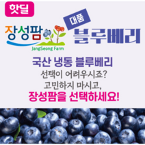대품(15mm 내외) 장성팜 국산 냉동 블루베리 1kg