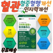 징코플러스 30정 기억력 혈행개선 판토텐산 니아이신 기억력혈행 징코플러스 니아이신 아연 엄마선물 아버지선물 두뇌건강 혈관에좋은영양제 기억력개선 혈압관리 뇌혈관영양제