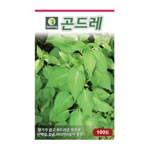 [다농] 곤드레(고려엉겅퀴)씨앗 50g[KE], 상세 설명 참조