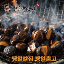 황금 약단밤 생율밤 칼집밤 포르단 공주밤 1kg, [특가할인] 2022 햇 약단밤1kg, 1개