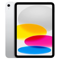 애플 아이패드 10세대 27.5cm WiFi 64GB _ 256GB (관부가세포함_미국정품), 10세대 256GB-실버
