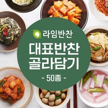 라임반찬 수제반찬 골라담기 나물 무침 볶음 장조림 샐러드, 46.양념고추지, 1팩, 140g